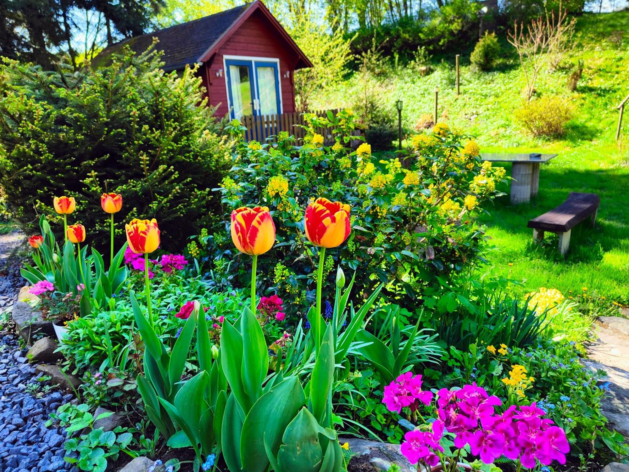 Bed And Breakfast Tvrz Velka Bukovina Exterior photo