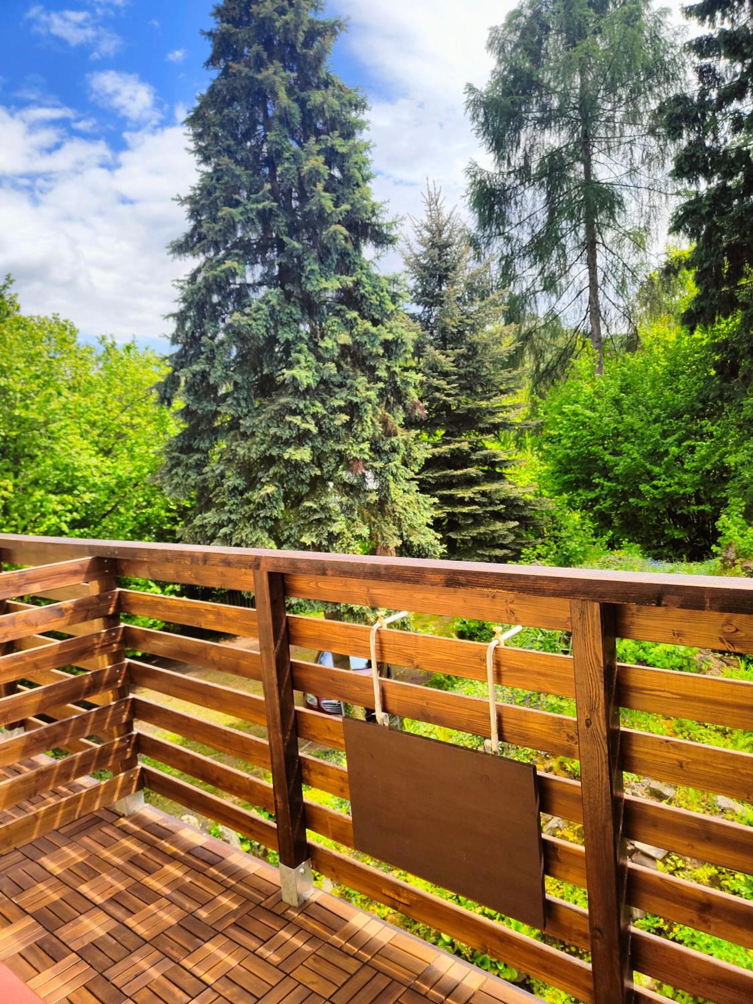 Bed And Breakfast Tvrz Velka Bukovina Exterior photo